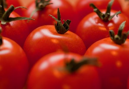 Kedy a ako vysievame paradajky?